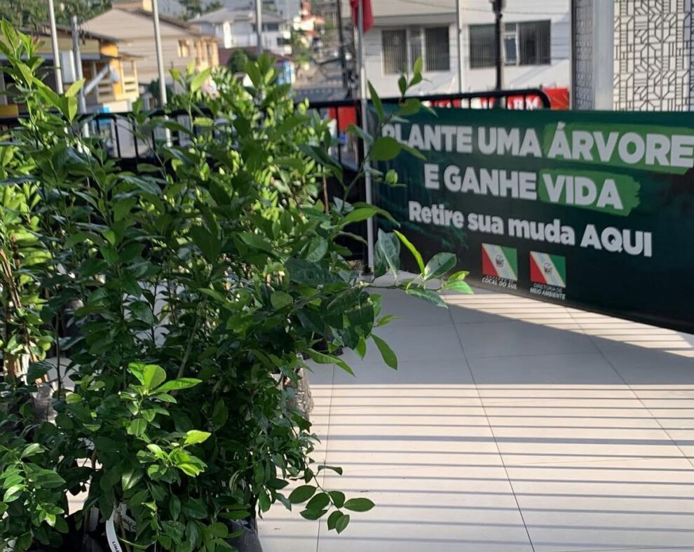 semana do meio ambiente tera caominhada e atracoes gratuitas em cocal do sul semana do meio ambiente cocal do sul e1748629466643