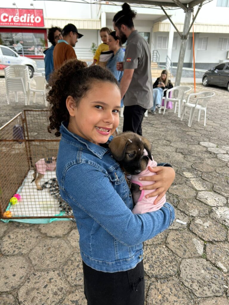 500 mudas doadas e 50 caes vacinados marcam encerramento da semana do meio ambiente em cocal do sul semana meio ambiente cocal 3