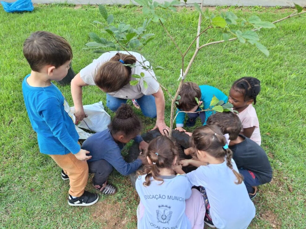ipes amarelos eternizam memoria de zilda burigo bosa na semana do meio ambiente em cocal do sul ipes amarelos cocal
