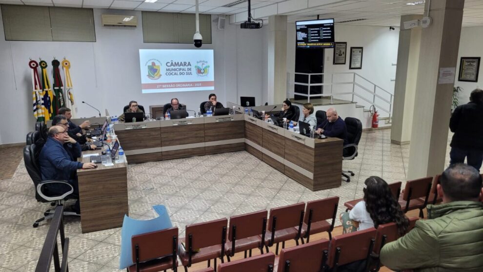 camara aprova credito para a saude e cobra explicacoes sobre nics e terapias para autistas 27a ordinaria por ana paula nesi 8