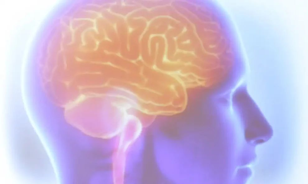 avc mata uma pessoa a cada seis minutos no brasil cerebro