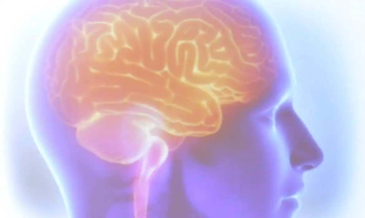avc mata uma pessoa a cada seis minutos no brasil cerebro