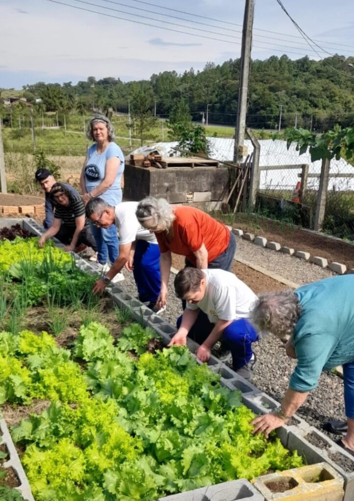 do plantio a mesa horta da apae de cocal do sul incentiva sustentabilidade e autonomia aos alunos horta sustentavel apae divulgacao 5