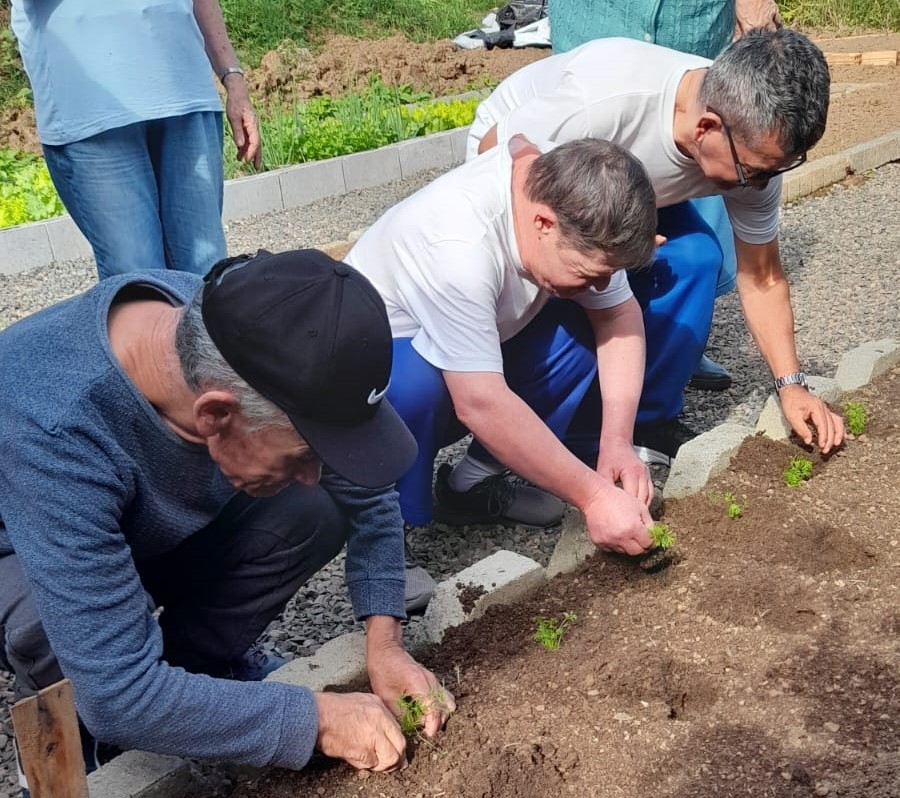 do plantio a mesa horta da apae de cocal do sul incentiva sustentabilidade e autonomia aos alunos horta sustentavel apae divulgacao 6