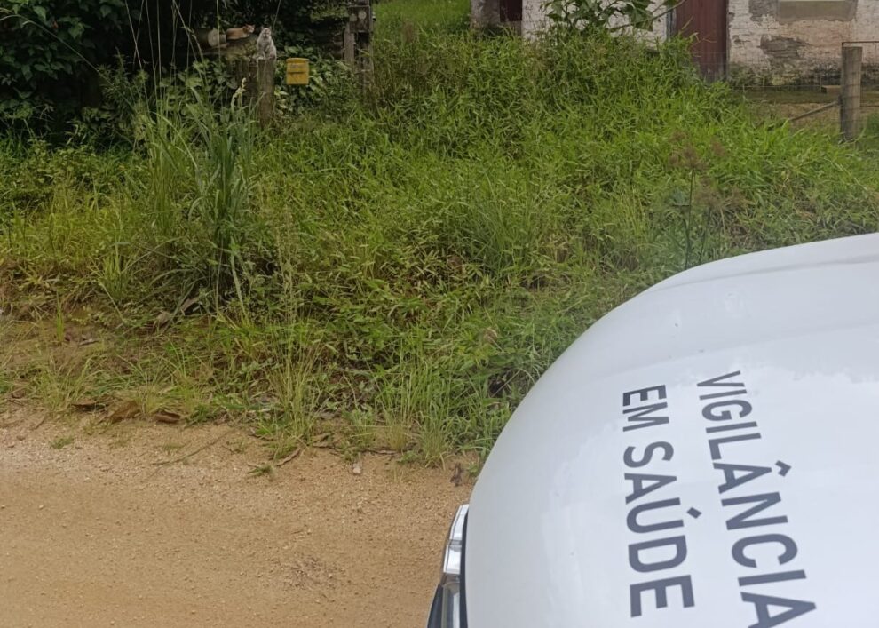 cocal do sul confirma doenca transmitida por gatos e amplia acoes de prevencao para todos os bairros whatsapp image 2025 11 12 at 15.22.43 e1762972950735