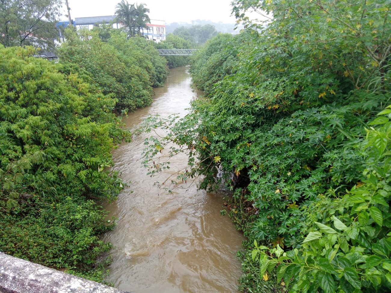 defesa civil de cocal do sul acompanha condicoes do tempo e orienta populacao sobre ventos rio cocal