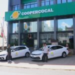 rascunho automatico virtus polo cooper por kele alves 1