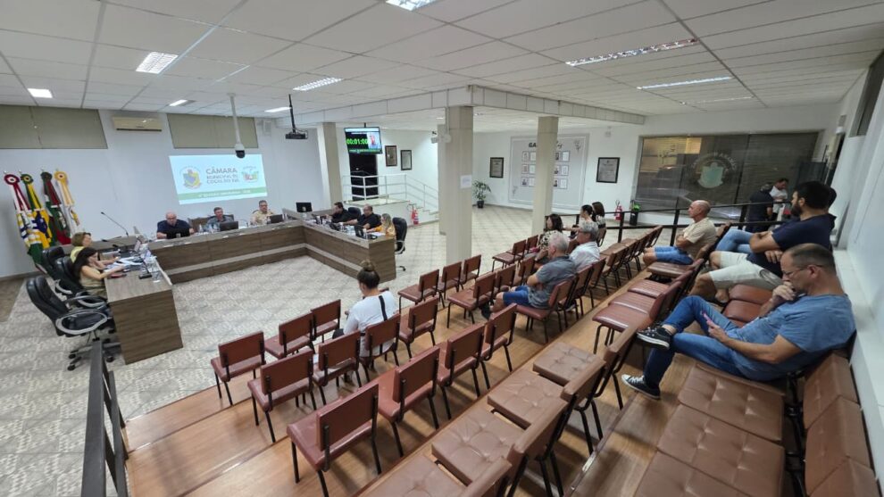 camara realiza sessao extraordinaria para eleicao da mesa diretora nesta quinta feira 4a ordinaria por ana paula nesi 5