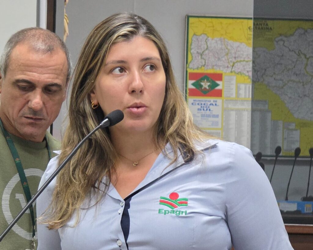 tribuna confira o que foi assunto na 13a sessao ordinaria da camara de cocal do sul 13a ordinaria por ana paula nesi 13