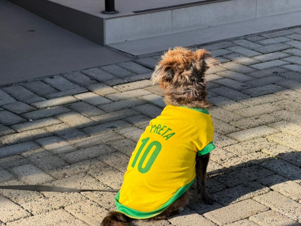 caominhada promove conscientizacao sobre bem estar animal neste sabado em cocal do sul caominhada promove conscientizacao sobre bem estar animal neste sabado em cocal do sul 2