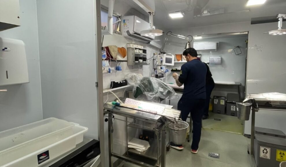 cocal do sul realiza primeiro mutirao do pet levado a serio com mais de 60 castracoes cocal do sul realiza primeiro mutirao do pet levado a serio com mais de 60 castracoes 2