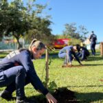 projeto ambiental dos bombeiros ultrapassa a marca de 500 mudas plantadas no sul catarinense whatsapp image 2026 06 16 at 17.49.17