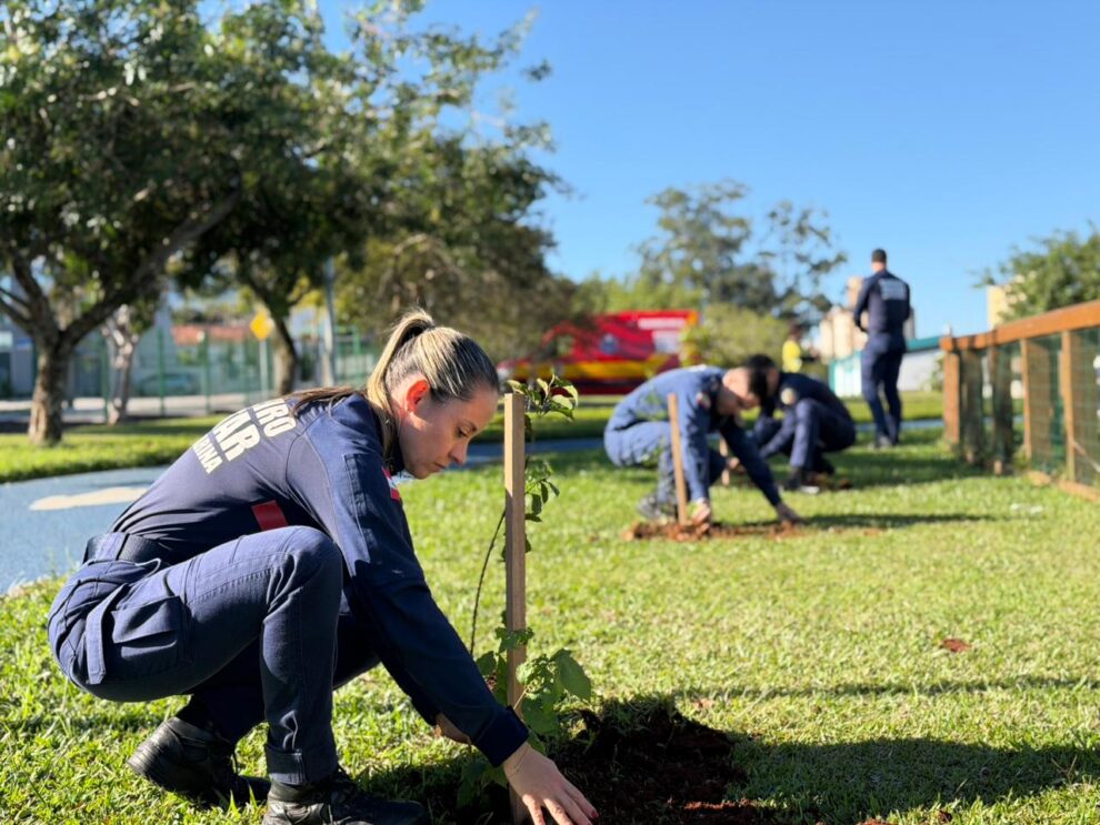 projeto ambiental dos bombeiros ultrapassa a marca de 500 mudas plantadas no sul catarinense whatsapp image 2026 06 16 at 17.49.17