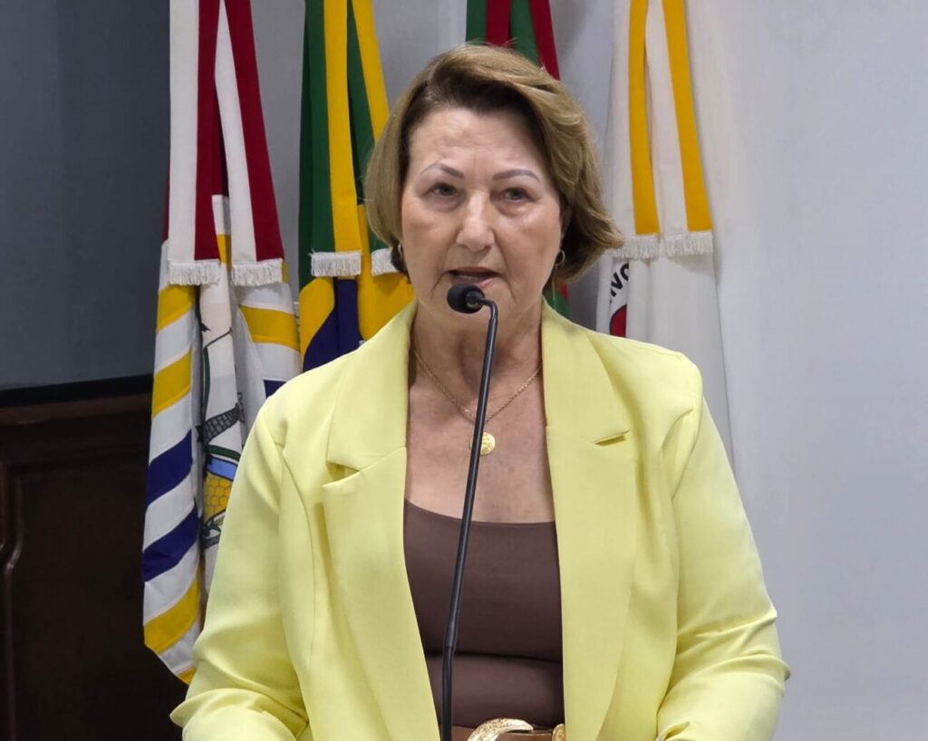 tribuna confira o que foi assunto na 29a sessao ordinaria da camara de cocal do sul 29a ordinaria por ana paula nesi 2