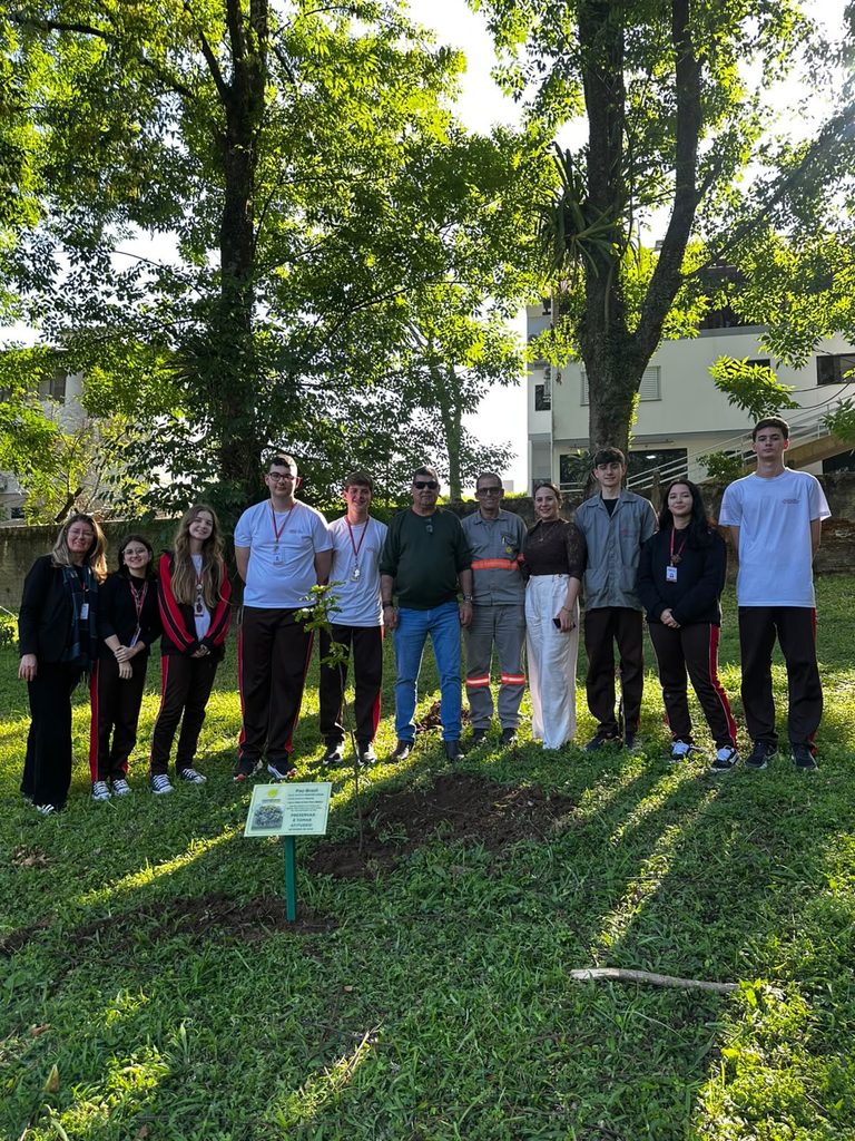 coopercocal realiza plantio de pau brasil em escolas e praca plantio de arvores coopercocal 2026 por kele alves 3 768x1024 coopercocal realiza plantio de pau brasil em escolas e praca plantio de arvor 1