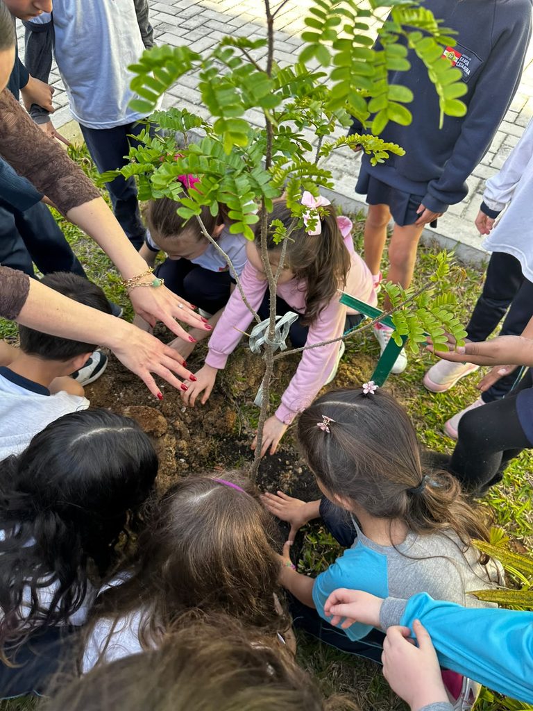 coopercocal realiza plantio de pau brasil em escolas e praca plantio de arvores coopercocal 2026 por kele alves 5 768x1024 coopercocal realiza plantio de pau brasil em escolas e praca plantio de arvor 1