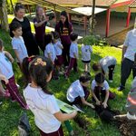 coopercocal realiza plantio de pau brasil em escolas e praca plantio de arvores coopercocal 2026 por kele alves 6 150x150 coopercocal realiza plantio de pau brasil em escolas e praca plantio de arvore