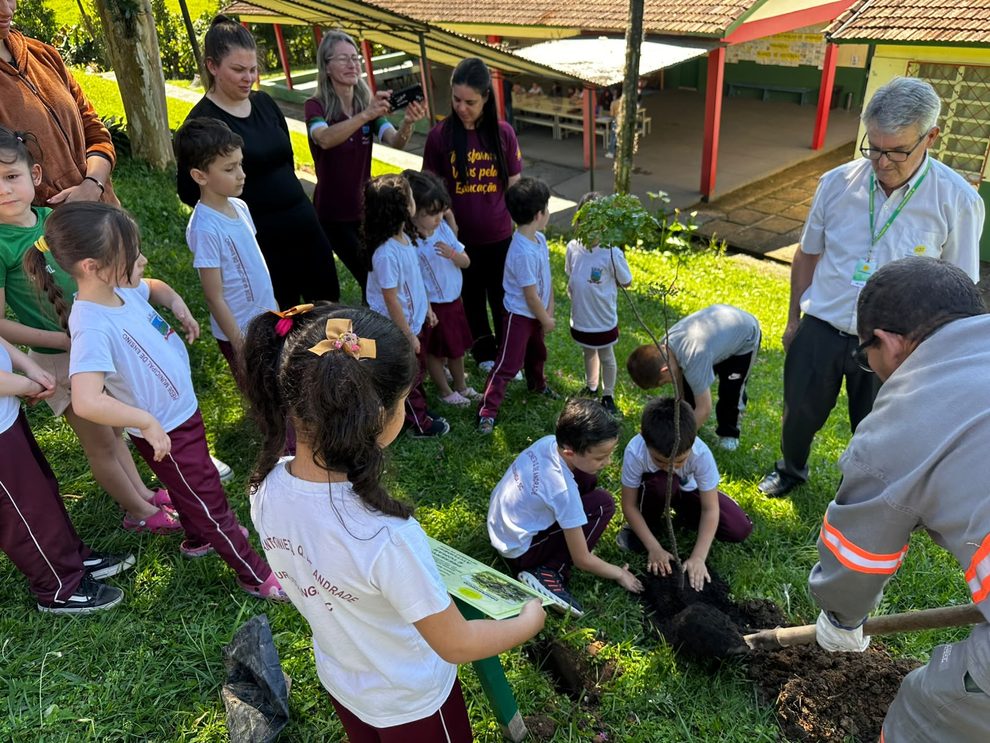 coopercocal realiza plantio de pau brasil em escolas e praca plantio de arvores coopercocal 2026 por kele alves 6 990x743 coopercocal realiza plantio de pau brasil em escolas e praca plantio de arvore